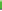 top_line_green.gif (76 Byte)
